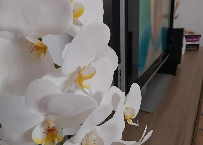 Kida\'S Home